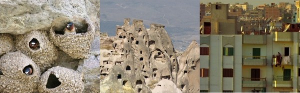 houses